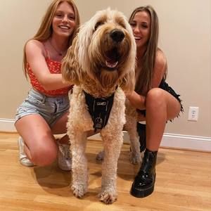 Meet your Posher, Caroline